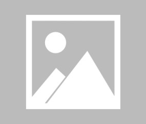 LOL电竞赛事 -赛地聚焦——亚冠今晚热度飙升，密尔沃基雄鹿状态回暖，话题不断，高层口径保持一致的简单介绍